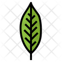 پیش‌نمایش فایل leaves-7150472 از پک مرخصی
