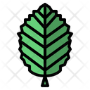 پیش‌نمایش فایل leaves-7150479 از پک مرخصی