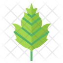 پیش‌نمایش فایل leaves-7150519 از پک مرخصی