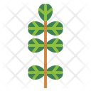پیش‌نمایش فایل leaves-7150520 از پک مرخصی