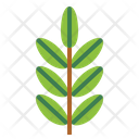 پیش‌نمایش فایل leaves-7150521 از پک مرخصی