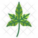 پیش‌نمایش فایل leaves-7150522 از پک مرخصی