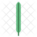 پیش‌نمایش فایل leaves-7150524 از پک مرخصی