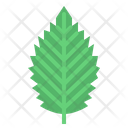 پیش‌نمایش فایل leaves-7150525 از پک مرخصی