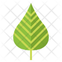 پیش‌نمایش فایل leaves-7150529 از پک مرخصی