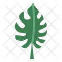 پیش‌نمایش فایل leaves-7150530 از پک مرخصی