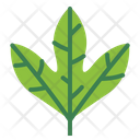 پیش‌نمایش فایل leaves-7150532 از پک مرخصی