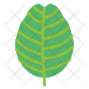 پیش‌نمایش فایل leaves-7150533 از پک مرخصی