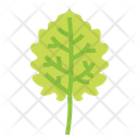 پیش‌نمایش فایل leaves-7150536 از پک مرخصی