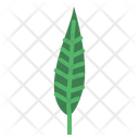 پیش‌نمایش فایل leaves-7150537 از پک مرخصی