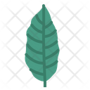 پیش‌نمایش فایل leaves-7150538 از پک مرخصی