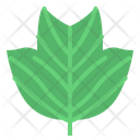 پیش‌نمایش فایل leaves-7150539 از پک مرخصی