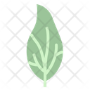 پیش‌نمایش فایل leaves-7150540 از پک مرخصی