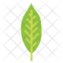 پیش‌نمایش فایل leaves-7150544 از پک مرخصی