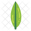 پیش‌نمایش فایل leaves-7150550 از پک مرخصی