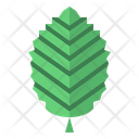 پیش‌نمایش فایل leaves-7150551 از پک مرخصی