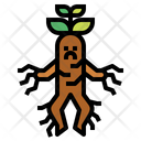 پیش‌نمایش فایل mandrake-7150604 از پک جادوگر