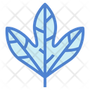 پیش‌نمایش فایل leaves-7150568 از پک مرخصی