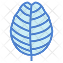 پیش‌نمایش فایل leaves-7150569 از پک مرخصی