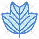 پیش‌نمایش فایل leaves-7150575 از پک مرخصی