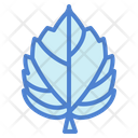 پیش‌نمایش فایل leaves-7150579 از پک مرخصی