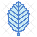 پیش‌نمایش فایل leaves-7150587 از پک مرخصی