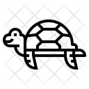پیش‌نمایش فایل turtle-7153789 از پک لاک‌پشت