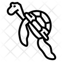پیش‌نمایش فایل turtle-7153808 از پک لاک‌پشت