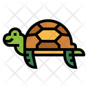 پیش‌نمایش فایل turtle-7153753 از پک لاک‌پشت