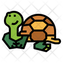 پیش‌نمایش فایل turtle-7153763 از پک لاک‌پشت