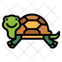 پیش‌نمایش فایل turtle-7153764 از پک لاک‌پشت