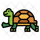 پیش‌نمایش فایل turtle-7153767 از پک لاک‌پشت
