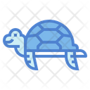 پیش‌نمایش فایل turtle-7153993 از پک لاک‌پشت