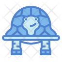 پیش‌نمایش فایل turtle-7153998 از پک لاک‌پشت