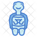 پیش‌نمایش فایل turtle-7154011 از پک لاک‌پشت