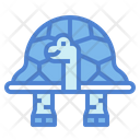پیش‌نمایش فایل turtle-7154013 از پک لاک‌پشت