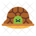 پیش‌نمایش فایل turtle-7153970 از پک لاک‌پشت