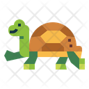 پیش‌نمایش فایل turtle-7153971 از پک لاک‌پشت