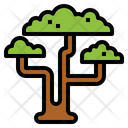 پیش‌نمایش فایل acacia-7157193 از پک استرالیا