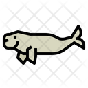پیش‌نمایش فایل dugong-7157204 از پک استرالیا