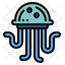 پیش‌نمایش فایل jellyfish-7157209 از پک استرالیا