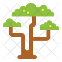 پیش‌نمایش فایل acacia-7157265 از پک استرالیا