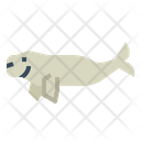 پیش‌نمایش فایل dugong-7157276 از پک استرالیا