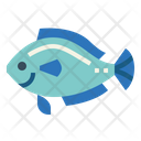 پیش‌نمایش فایل fish-7157278 از پک استرالیا