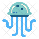 پیش‌نمایش فایل jellyfish-7157281 از پک استرالیا