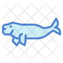 پیش‌نمایش فایل dugong-7157312 از پک استرالیا