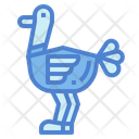 پیش‌نمایش فایل ostrich-7157321 از پک استرالیا