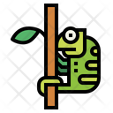پیش‌نمایش فایل chameleon-7157342 از پک جنگل