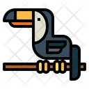 پیش‌نمایش فایل toucan-7157366 از پک جنگل