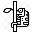 پیش‌نمایش فایل chameleon-7157378 از پک جنگل
